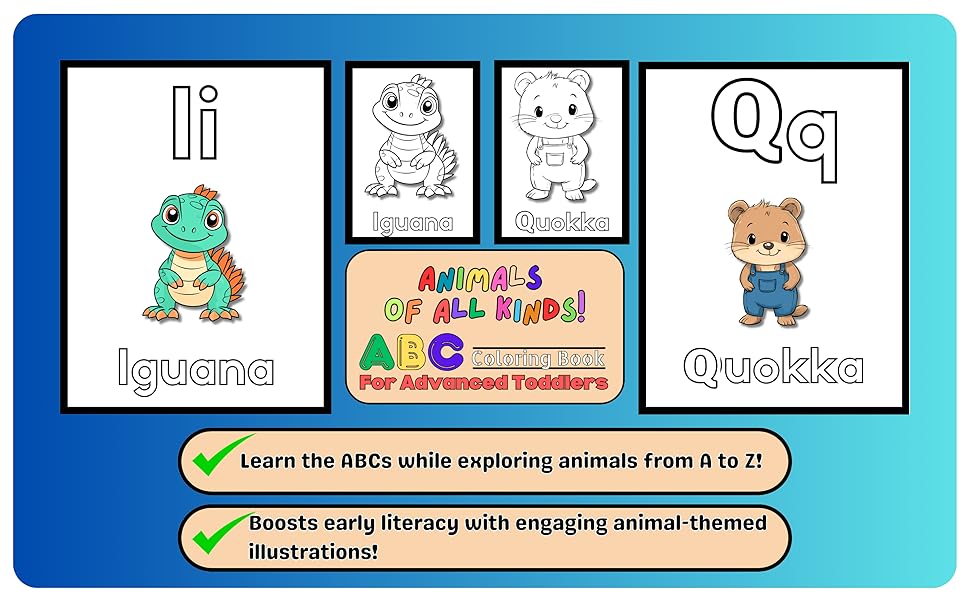 ABC Coloring Book For Toddlers Animals Of All Kinds Iguana Quokka