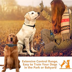 Can be used without the shock probes as a vibrating collar