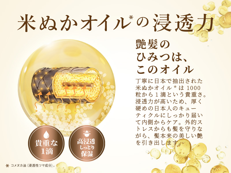 The penetrating power of rice bran oil