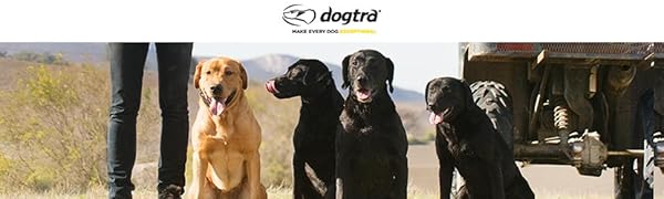 Dogtra Headline Banner