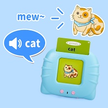 Lively and Interesting