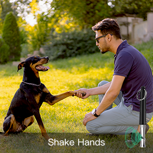 whistle for dogs