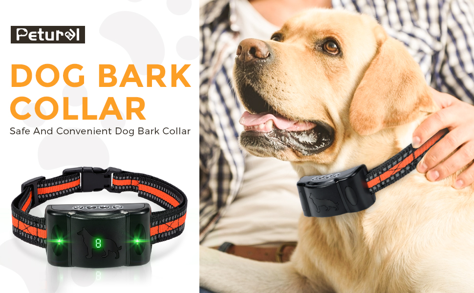 Dog bark collar