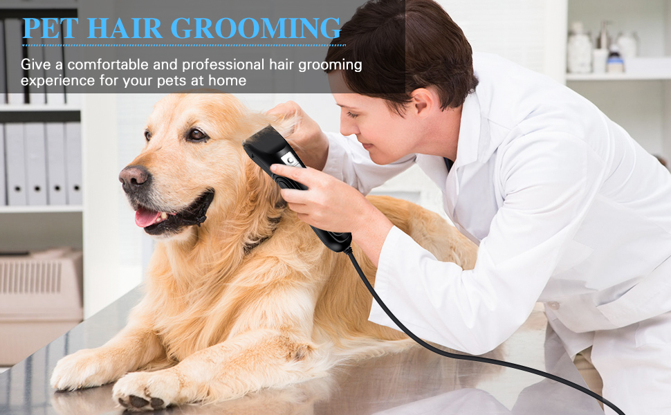 dog clippers for thick coats