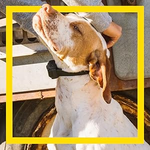 Versatile Training Modes