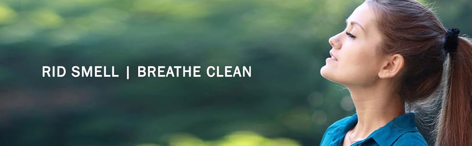 rid dead rat odor banner